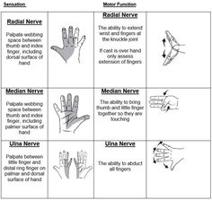 the hand reflex chart shows how to do different things in order to help you understand what they are doing