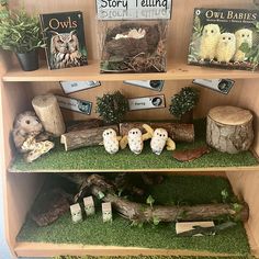 the shelves are filled with books and stuffed animals on display in front of other items