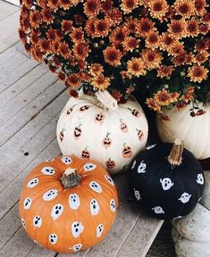 pumpkins and flowers are sitting on the porch