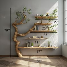 the height of a tree is shown in this room