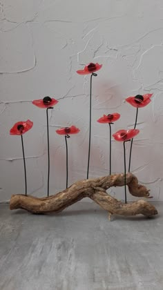 a group of red flowers sitting on top of a piece of driftwood next to a white wall