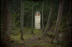 an outhouse in the woods surrounded by trees and grass, with its door open