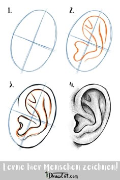 how to draw the ear in three different ways