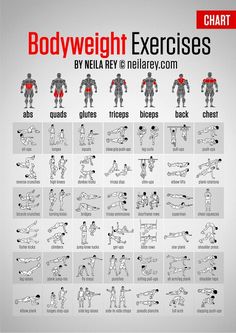 the bodyweight exercises chart is shown