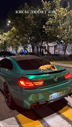 a cat laying on top of a green car in the middle of a crosswalk