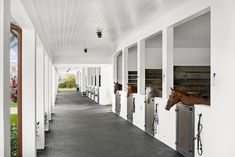 several horses are lined up in the stalls on the side of a long building with white walls