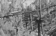 an old black and white photo of a train going over a bridge in the woods