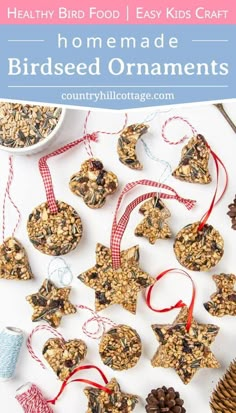 homemade birdseed ornaments on a table with pine cones