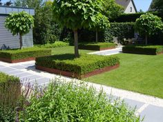 the garden is neatly trimmed and ready to be used as an outdoor space for relaxing