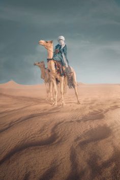 a man riding on top of a camel in the desert