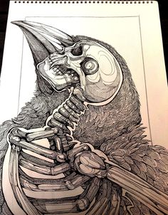 a drawing of a skeleton with a bird sitting on it's head and holding a baseball bat