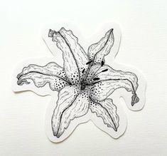 Lilies Flowers Tattoo, Lilies Drawing Tattoo, Lily And Tulip Tattoo, Lily Tattoo Aesthetic, Minimalist Tattoos For Women, Lily Flower Tattoo, Lilies Tattoo, Lillies Tattoo, Lilies Drawing