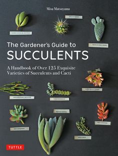 the gardener's guide to succulents