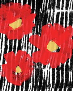 three red flowers are on a black and white striped background, with yellow center in the middle