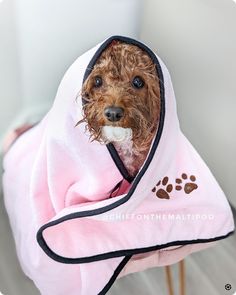 a small dog wrapped in a pink towel