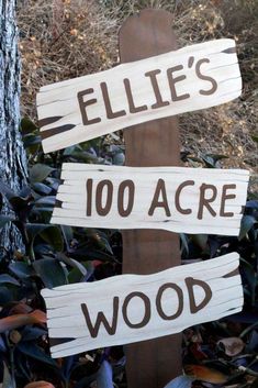 a wooden sign that says ellen's 100 acre wood on top of it