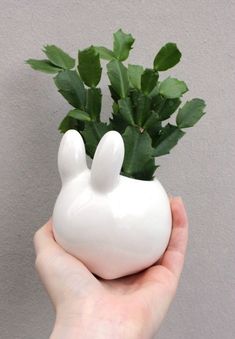 a hand holding a small white ceramic planter with leaves in it's mouth