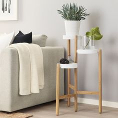 a living room with a couch, table and potted plant on the side stand