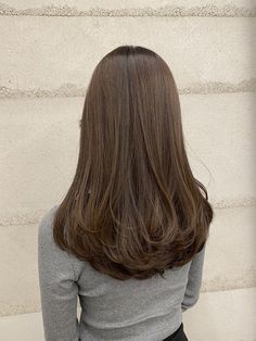 Dyed Hairstyles, Grey Hairstyles, Bob Haircut Ideas, Extension Hair, Layered Haircuts For Medium Hair, Straight Hair Cuts