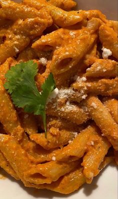 pasta with parmesan cheese and cilantro on top