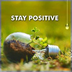 a light bulb sitting on top of grass with the words stay positive written above it