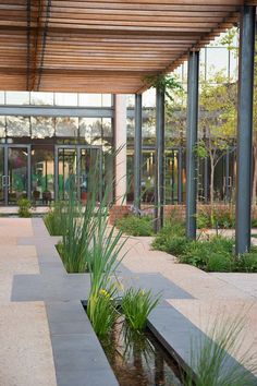 the walkway is lined with water and plants