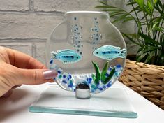 a hand is holding a glass fish bowl