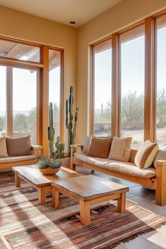 a living room filled with furniture and lots of windows next to a cactus in a pot