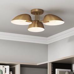 three lights are hanging from the ceiling in a room with bookshelves and shelves