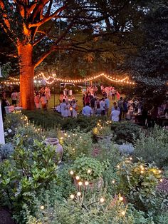 a group of people standing around a lush green field next to a tree with lights on it