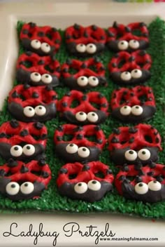 the cake is made to look like ladybugs