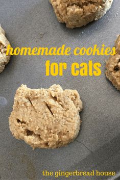 homemade cookies for cats sitting on top of a cookie sheet with the words, homemade cookies for cats