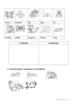 worksheet with pictures and words in spanish