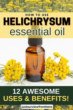 field of helichrysum flowers in background, a small amber glass bottle of essential oil and helichrysum flowers, text overlay how to use helichrysum essential oil, 12 awesome uses and benefits Diy Skin Serum, Helichrysum Essential Oil Uses, Frankincense Essential Oil Doterra, Helichrysum Essential Oil, Essential Oils For Face, Diy Essential Oil Recipes, Essential Oils For Pain, Doterra Essential Oils Recipes, Essential Oils Herbs