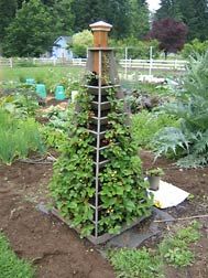 a garden filled with lots of plants next to a wooden pole in the middle of a field