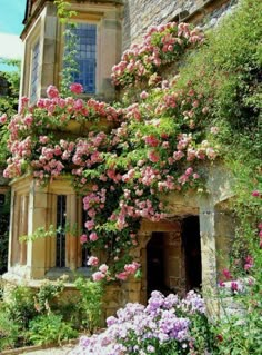 an old building with pink flowers growing on it