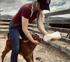 a woman feeding a baby calf milk from a bottle