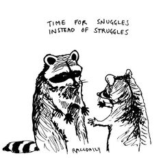 a raccoon is talking to another raccoon with the caption time for snuggles instead of struggles