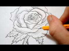 someone is drawing a rose with pencils