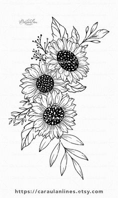 a black and white drawing of sunflowers with leaves on it's stems