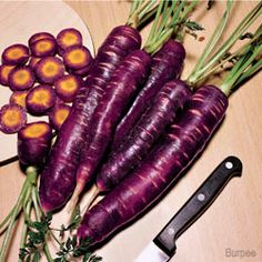 some purple carrots are sitting on a table