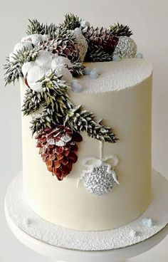 a white frosted cake with pine cones and evergreens on the top is decorated with snowflakes