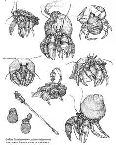 some drawings of different types of bugs and other things that are in the same image