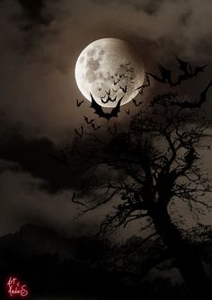 bats flying in the night sky over a tree and full moon, with dark clouds