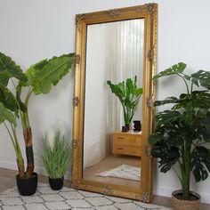 a large mirror sitting on top of a wooden table next to potted plantes