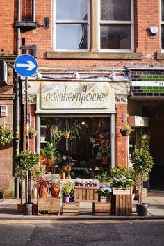 a flower shop with potted plants on the sidewalk in front of it and a blue street sign