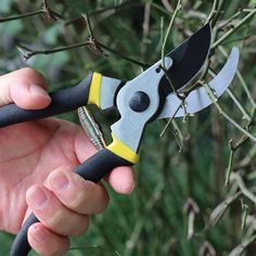 a hand holding a pair of pliers in front of some branches with green leaves