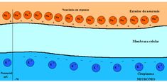 the water cycle is shown in blue and orange, as well as several different types of water