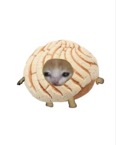 an animal that is inside of a round bread ball with its head sticking out from it's side