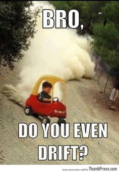 Car Driving, Funny Animal Jokes, 웃긴 사진, Animal Jokes, Really Funny Pictures